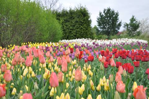 A Lush Oasis In Pennsylvania, The Arboretum At Penn State Is A Peaceful Escape