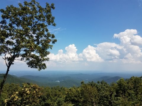 The Magnificent Oglethorpe Mountain Trail In Georgia That Will Lead You To A Hidden Overlook