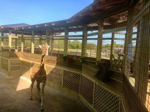 Both A Water Park And An Exotic Animal Safari, Ohio's Watering Hole At Monsoon Lagoon Is An Underrated Day Trip Destination