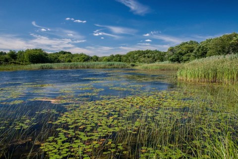 Osprey Point Trail Is An Easy Hike In Rhode Island That Takes You To An Unforgettable View