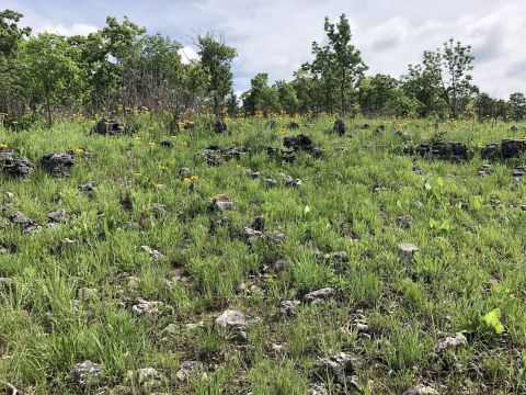 Hike Through Missouri's Rock Maze, Boulder Ridge Trail, For An Adventure Like No Other