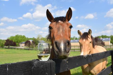 You Can Drink Wine With Farm Animals At Broken Spoke Winery In Maryland