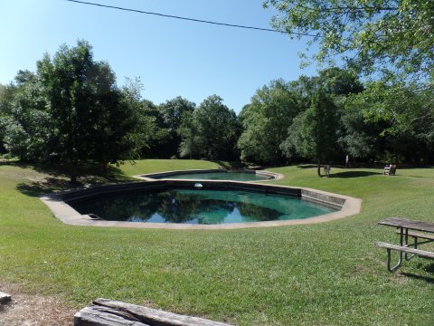 Everyone In Alabama Must Visit This Epic Natural Spring As Soon As Possible