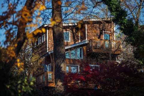 Spend The Night Nestled In The Trees At This Dreamy Emu Ranch In Georgia