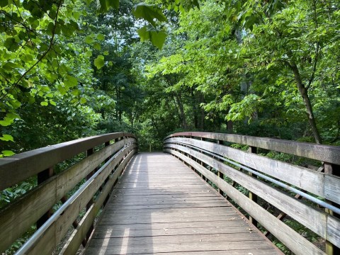 Most People Don’t Know Missouri Has A Fairy Trail And It’s Positively Magical