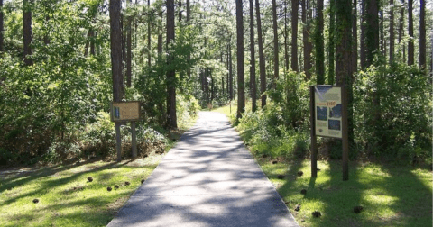 Your Kids Will Love This Easy 1-Mile Waterfall Hike Right Here In Florida