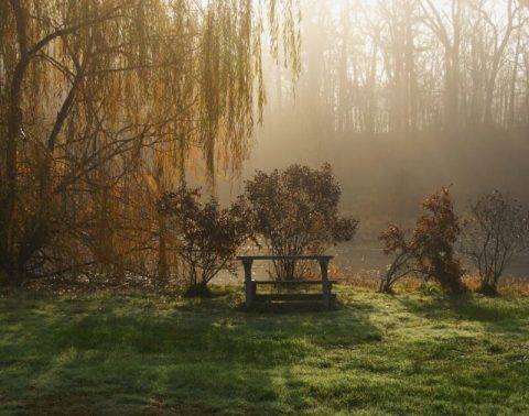 A Lush Oasis In Indiana, The Friendship Botanic Garden In Michigan City Is A Peaceful Escape