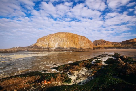 Search For Sea Stars And Sea Stacks At Seal Rock Beach In Oregon