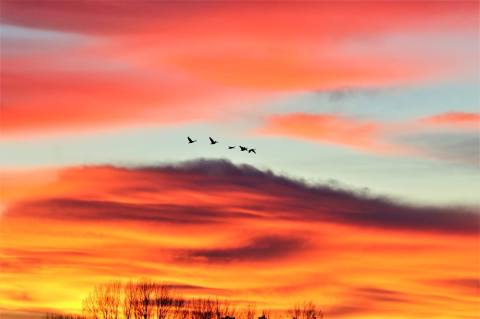 The Sunrises At This State Park In North Dakota Are Worth Waking Up Early For