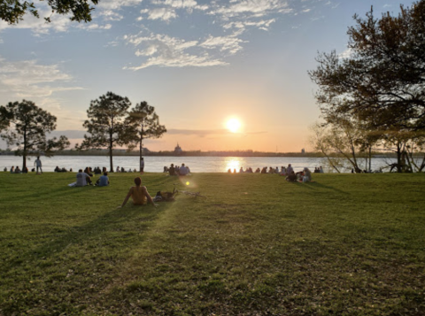 Escape To Audubon Park For A Beautiful New Orleans Nature Scene