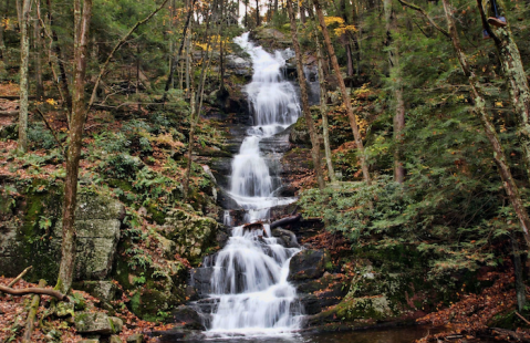 7 Incredible Natural Wonders In New Jersey That You Can Witness For Free