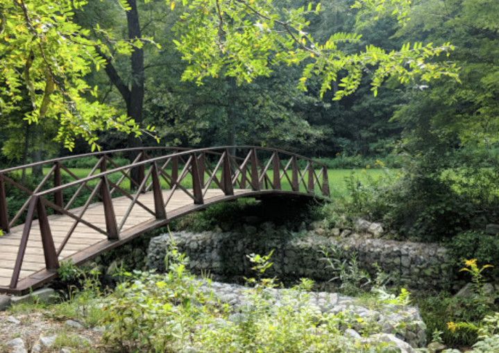 little bridge in Ledges State Park in Iowa