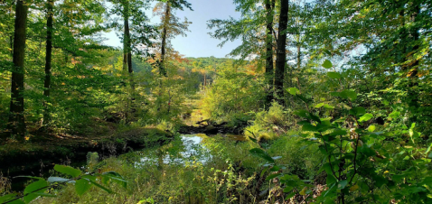 7 Totally Kid-Friendly Hikes In New Jersey That Are 1 Mile And Under