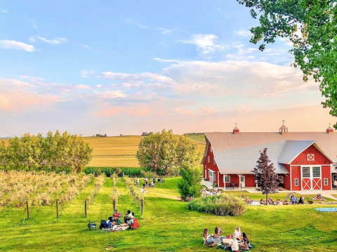 Pizza Night Will Never Be The Same Again After A Trip To Red Barn Farm In Minnesota