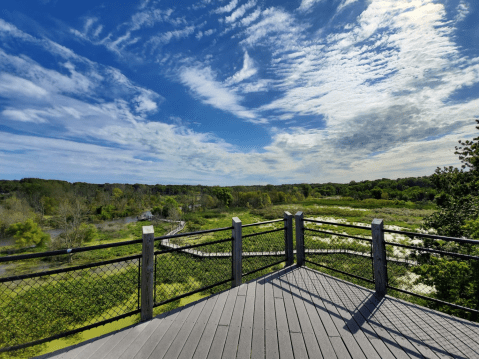 Tiptoe Through The Treetops When You Visit The Galien River County Park Canopy Walkway In Michigan