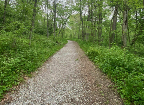 Hiking To Cedar Cliff Falls In Ohio Is The Perfect 3-Mile Summer Adventure