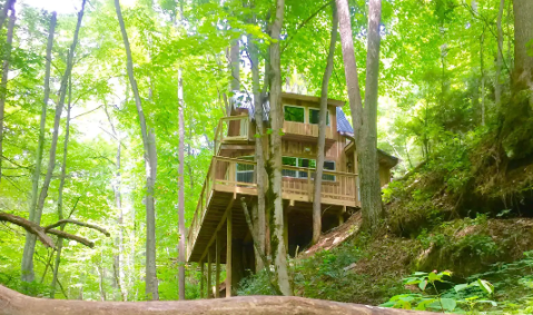 Sleep Among Towering Oaks And Pines At The Sugar Creek Tree House In North Carolina