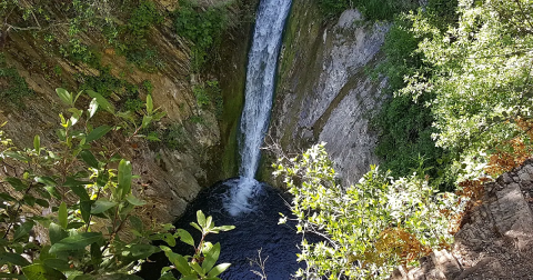 See The Tallest Waterfall In Southern California At Forest Falls