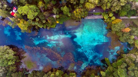 Take The Longest Float Trip In Florida This Summer On The Rainbow River