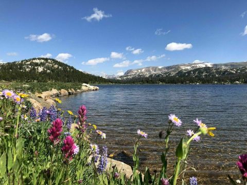 Take An Easy Loop Trail Past Some Of The Prettiest Scenery In Wyoming On The Island And Night Lakes Trail