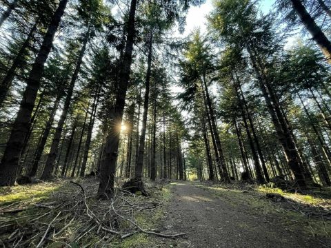 This Easy Hike In Corvallis, Oregon Winds Straight Through A Beautiful Arboretum