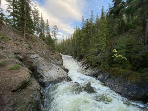 Take An Easy Loop Trail To Enter Another World At Icicle Gorge Trail In Washington