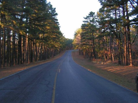 Explore The Fantastical Forest At Sequoyah State Park In Oklahoma