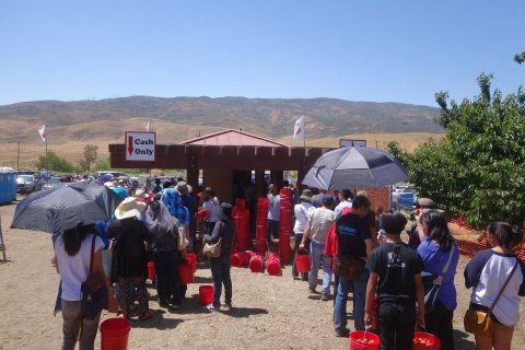 Go Cherry Picking At This Sweet Cherry Farm In Southern California That Has Over 3,600 Trees In The Orchard