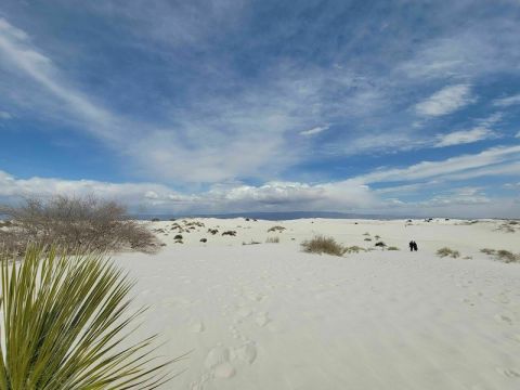 This Is One Of The Most Kid-Friendly Hiking Trails At White Sands National Park In New Mexico