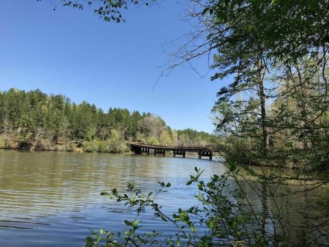 9 River Trails In Alabama To Explore This Summer