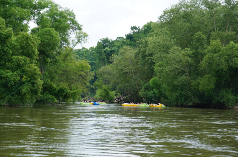 Take The Longest Float Trip In Louisiana This Summer On The Bogue Chitto River