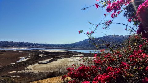 Explore Marine Life And Take A Scenic Walk Around A Lagoon At Batiquitos Lagoon State Marine Conservation Area In Southern California