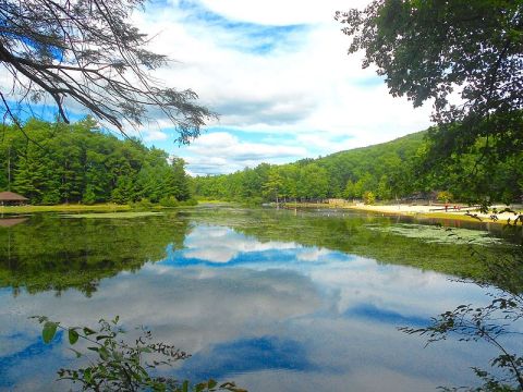 This Secluded Lake In Pennsylvania Might Just Be Your New Favorite Swimming Spot