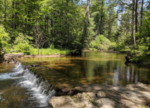 Meander Along Tree-Lined Paths And Colorful Wildflowers On The Family-Friendly Ramble Trail In Pennsylvania