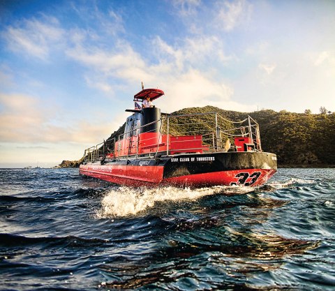 Take A Ferry To Catalina Island In Southern California For An Unforgettable Day Exploring Sea Life And Touring The Wilderness