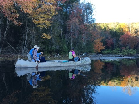 Bays Mountain Park & Planetarium In Tennessee Is The Perfect Spot For Any Aspiring Explorer