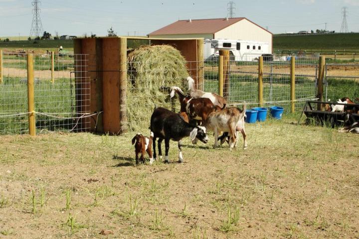 ranches in colorado