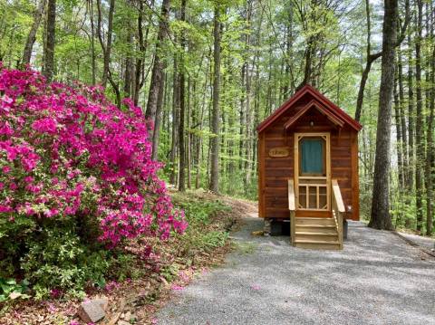 Bleu Canoe In Georgia Is A Tucked-Away Restaurant & Campground All In One