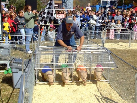 The Upcoming York State Fair Celebrates The Very Essence Of Pennsylvania, So Save The Date