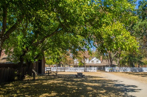 Anderson Marsh In Northern California Is A Historic Landmark That's Perfect For A Day Trip