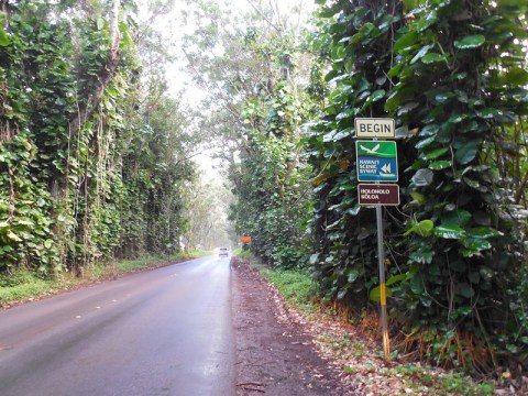 Hop In Your Car And Take Holo Holo Koloa Scenic Byway For An Incredible 19.5-Mile Scenic Drive In Hawaii