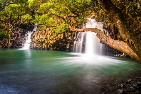 Hike Less Than A Mile To This Spectacular Waterfall Swimming Hole In Hawaii