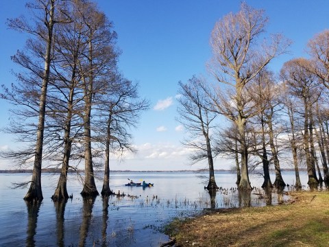 7 Incredible Natural Wonders In Tennessee That You Can Witness For Free