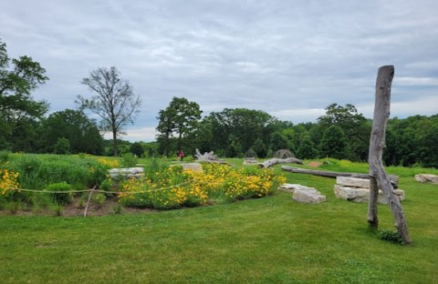 Forest Park's Nature Playscape In Missouri Is An All-Natural Playground The Whole Family Will Love