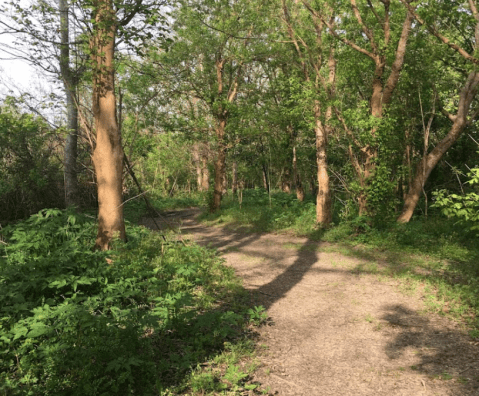 Louisiana’s Bottomland Trail Leads To A Magnificent Hidden Oasis