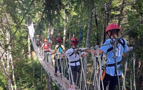 The Longest Elevated Canopy Tour In New Hampshire Can Be Found At Bretton Woods