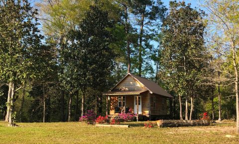 These Cabins Near Red Creek In Mississippi Let You Glamp In Style