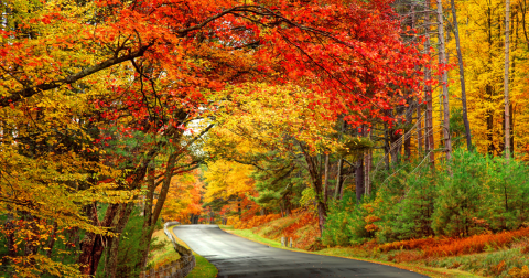 Hop In Your Car And Take The Central Hills Loop For An Incredible 57-Mile Scenic Drive In Massachusetts