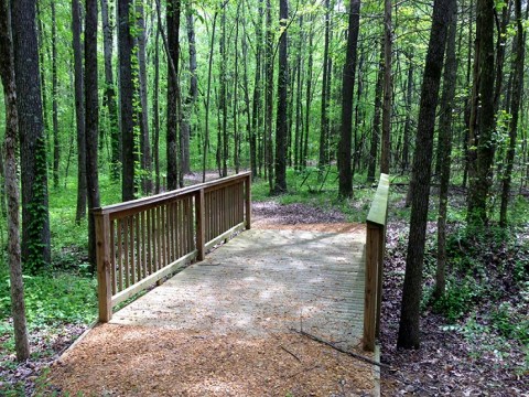 The Hike To Mississippi's Pretty Little Arkabutla Lake Is Short And Sweet