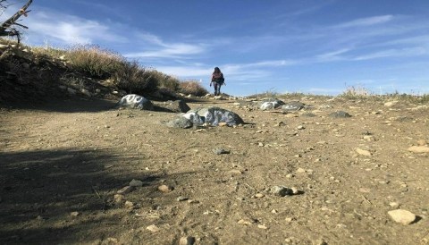 You Can't Pass Up This Challenging Hike To Deep Creek Hot Springs In Southern California